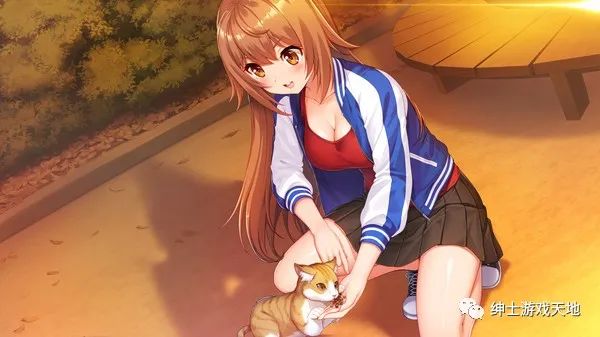 《偶像日》免安装中文版