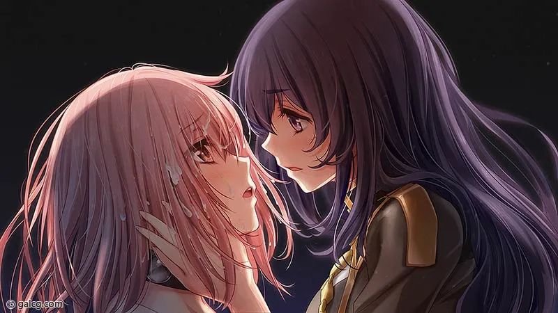 《魔法少女消耗戰線：死終Ω神盾》+前传 官中步兵版+存档
