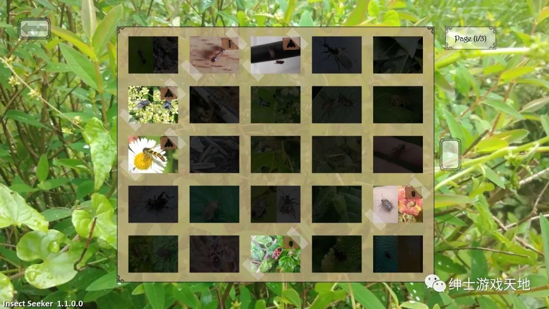 【游戏推荐】《昆虫探寻者 Insect Seeker》免安装中文版