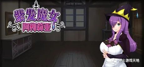 【会员专属】《紫发魔女阿梅莉亚》V1.50 免安装中文步兵版+全回想