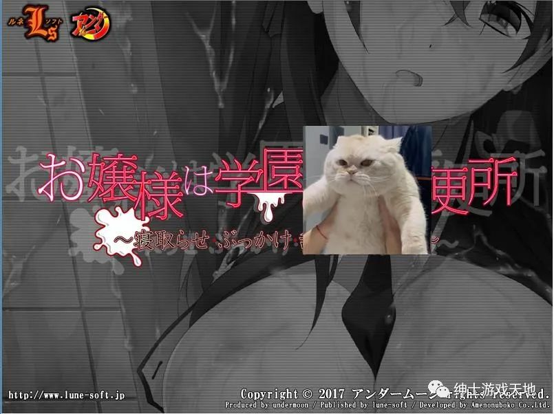 【会员专属】《寝取恶堕观察日记》云翻汉化+存档