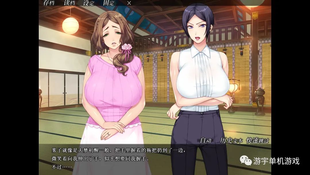 【会员专属】《妃神会秘史》Steam官方中文步兵版+全CG存档+全动画版