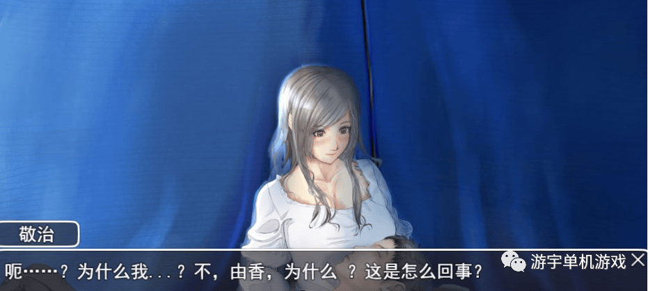【会员专属】《NTR：妻子与我与无人岛遇难生活》Ver2.01 云翻汉化版