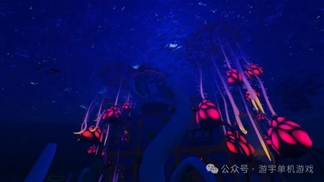 【游戏推荐】《动物海湾》v0.5+DLC 免安装豪华中文学习版
