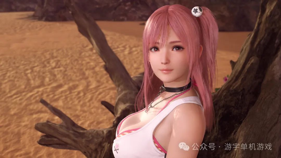 【游戏推荐】《死或生:维纳斯璀璨假期》v1.02+全DLC+预购特典 免安装豪华中文版