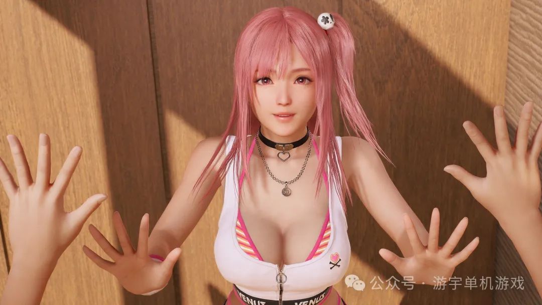 【游戏推荐】《死或生:维纳斯璀璨假期》v1.02+全DLC+预购特典 免安装豪华中文版