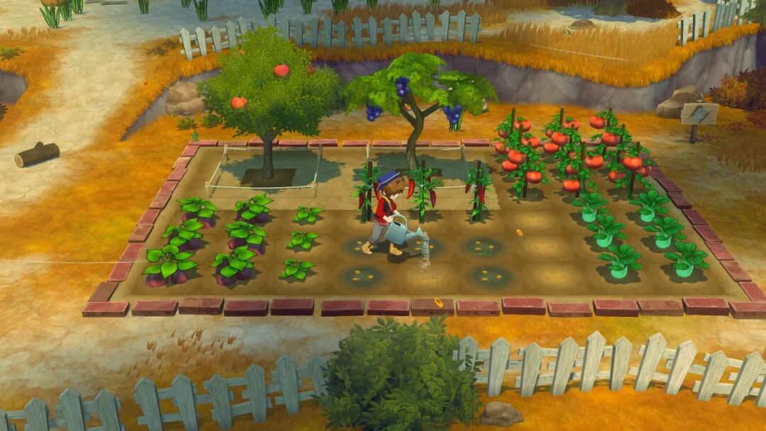 《牧场物语来吧！风之繁华集市》v1.1+预购特典+全DLC 免安装豪华中文体验版